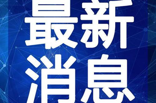 东莞校服爆料视频最新,时尚潮流与校园文化的完美融合
